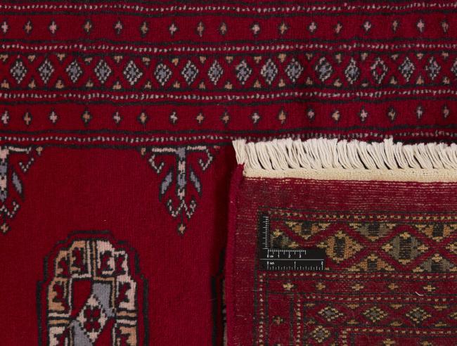Pakistan Buchara 2ply - 1