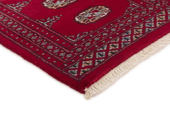 Pakistan Buchara 2ply - 3