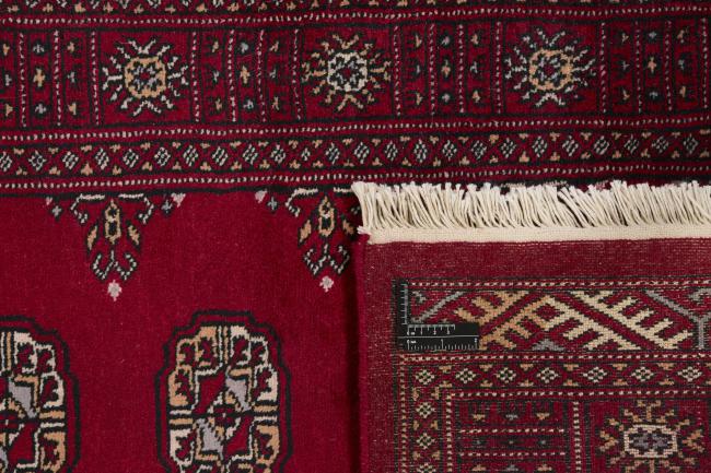 Pakistan Buchara 3ply - 1