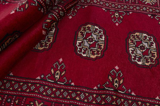 Pakistan Buchara 3ply - 2