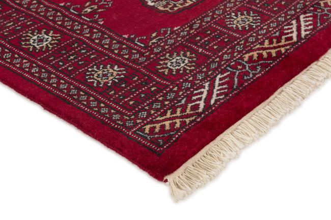 Pakistan Buchara 3ply - 3