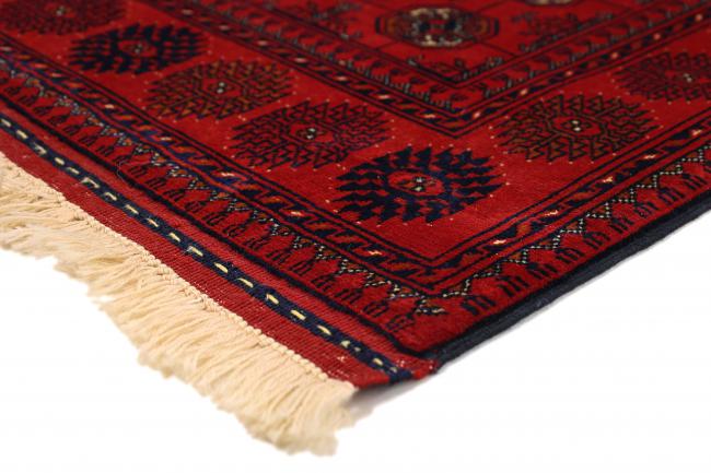 Afghan Mauri - 6