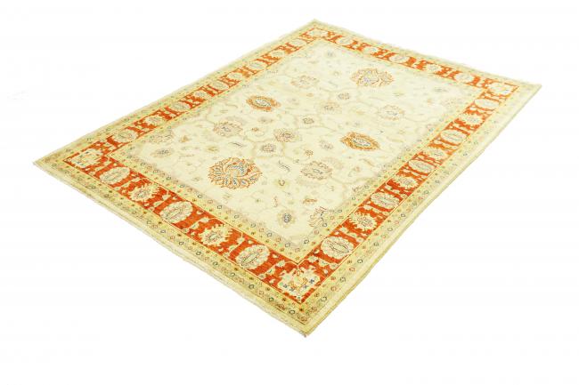 Arijana Ziegler Farahan - 1