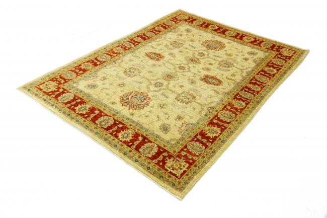 Arijana Ziegler Farahan - 2