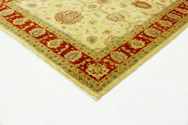 Arijana Ziegler Farahan - 3