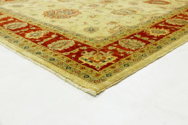 Arijana Ziegler Farahan - 4