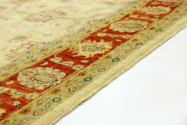 Arijana Ziegler Farahan - 5