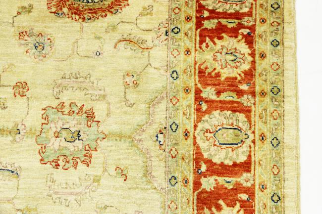 Arijana Ziegler Farahan - 6