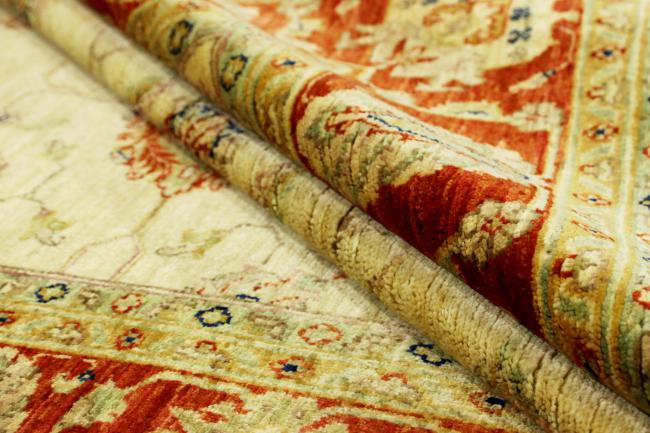 Arijana Ziegler Farahan - 7