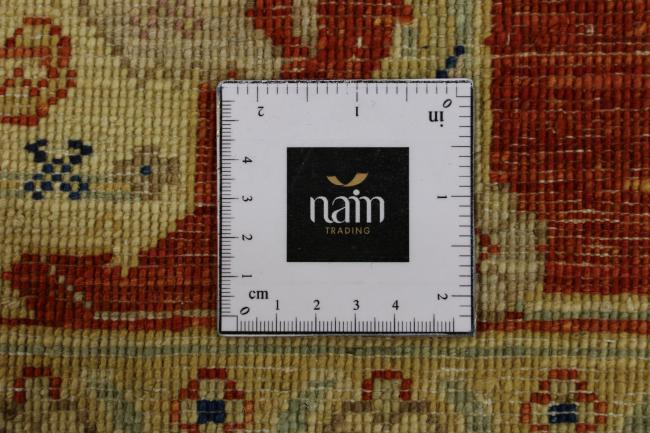 Arijana Ziegler Farahan - 8