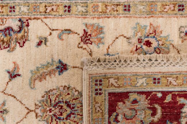 Ziegler Farahan - 6