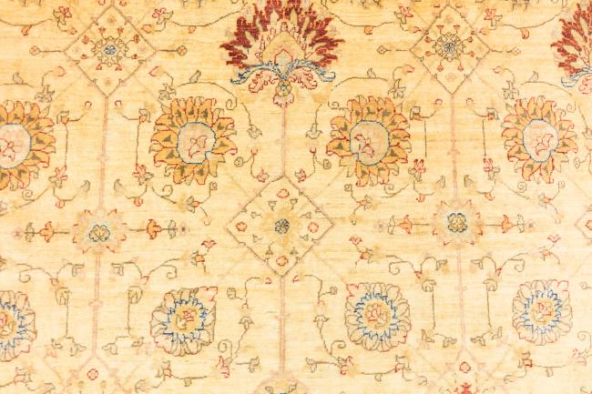 Ziegler Farahan - 5