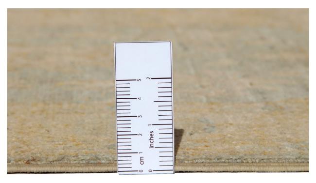 Ziegler ファラハン - 3