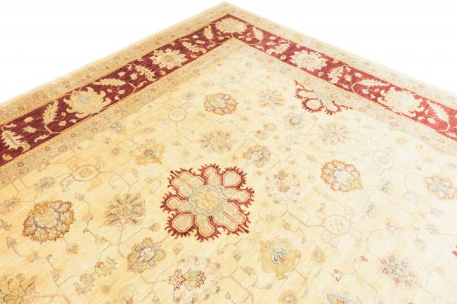 Ziegler Farahan - 7