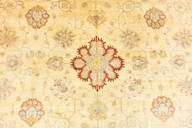 Ziegler Farahan - 8