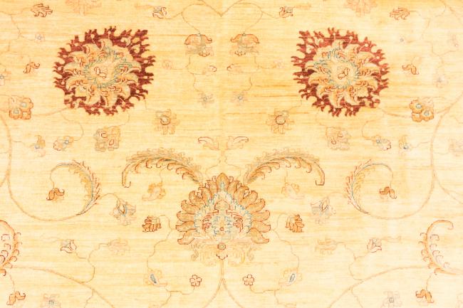 Ziegler Farahan - 11