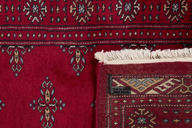 Pakistan Buchara 3ply - 1