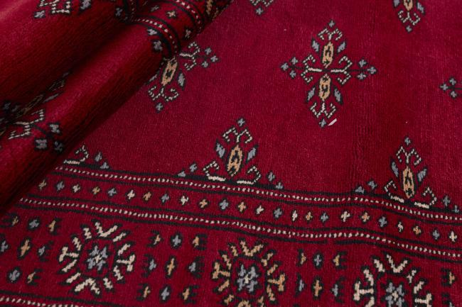 Pakistan Buchara 3ply - 2