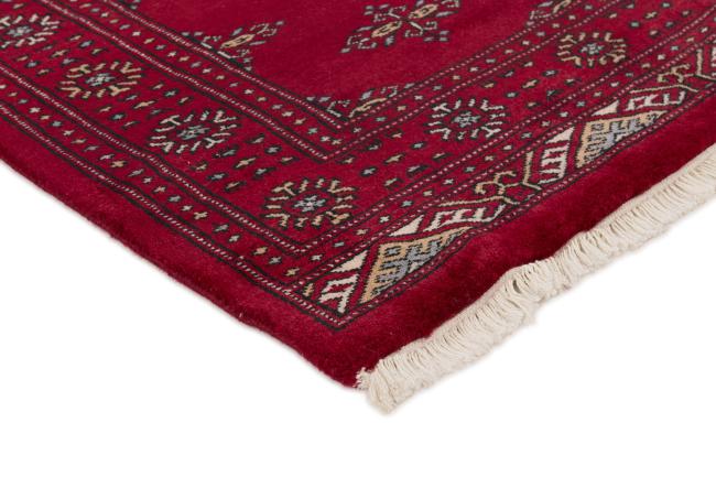 Pakistan Buchara 3ply - 3