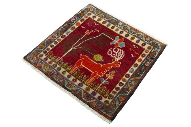 Shiraz - 1