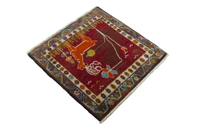 Shiraz - 2