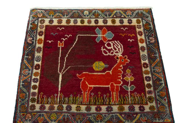 Shiraz - 3