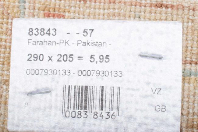 Ziegler Farahan - 7