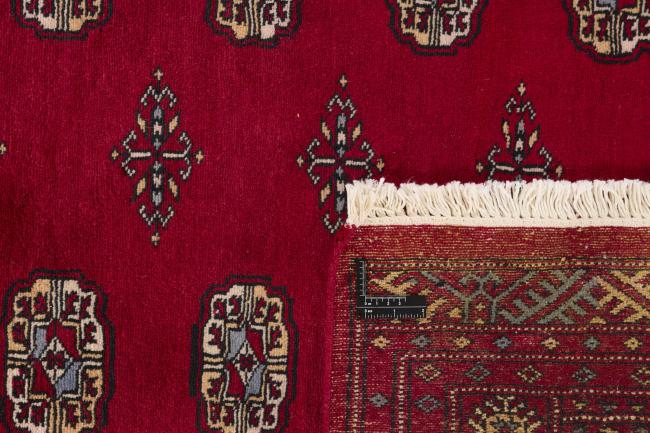 Pakistan Buchara 2ply - 1