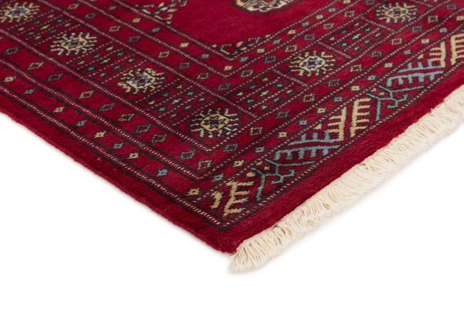 Pakistan Buchara 2ply - 3