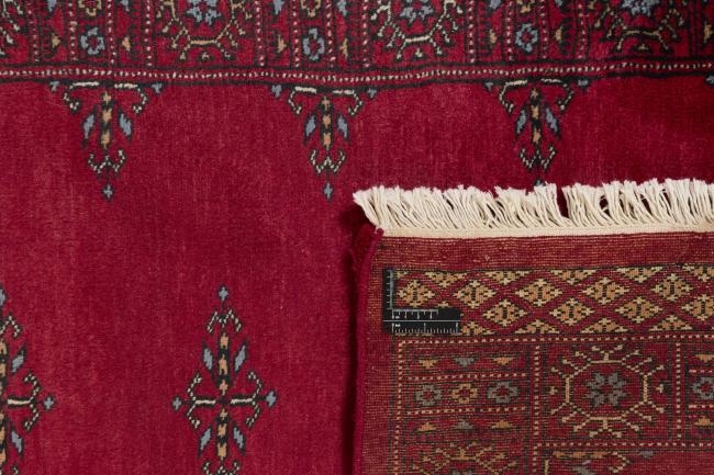 Pakistan Buchara 3ply - 1