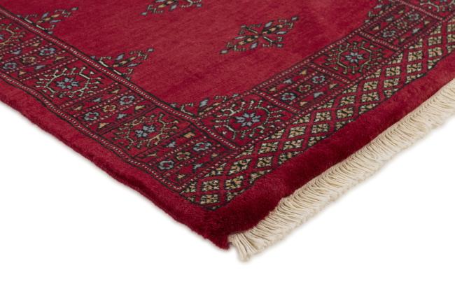 Pakistan Buchara 3ply - 3