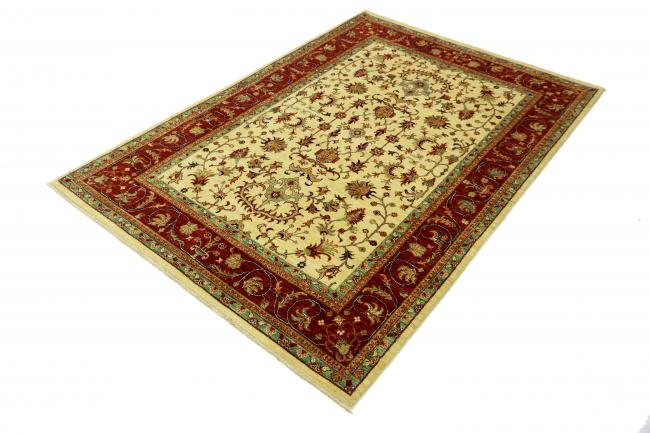 Arijana Ziegler Farahan - 2