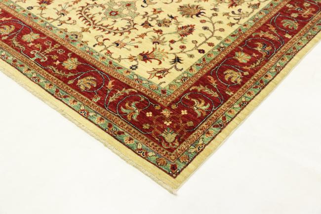 Arijana Ziegler Farahan - 3