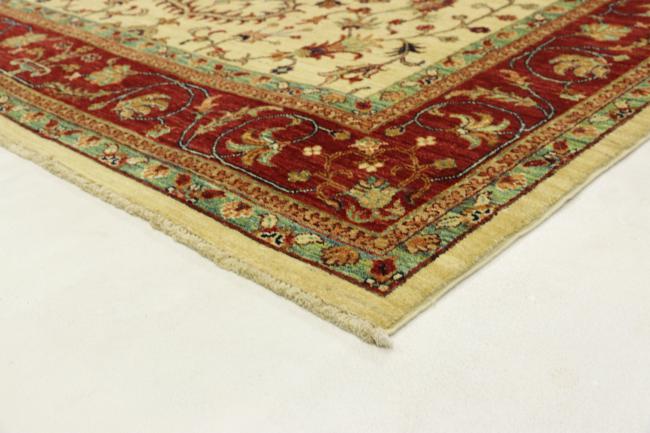 Arijana Ziegler Farahan - 4