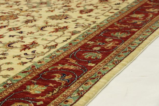 Arijana Ziegler Farahan - 5