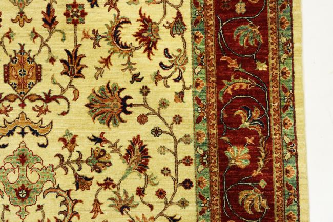 Arijana Ziegler Farahan - 6