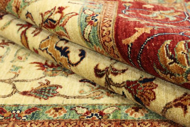 Arijana Ziegler Farahan - 7