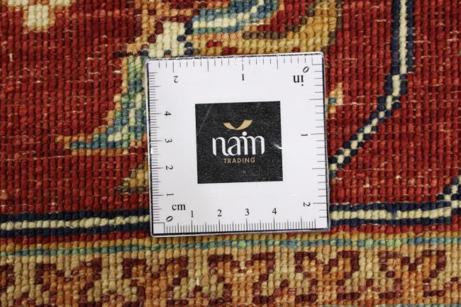 Arijana Ziegler Farahan - 8