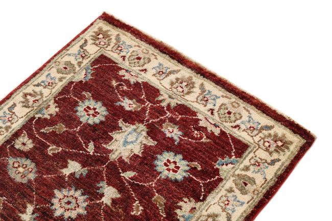 Ziegler Farahan - 3