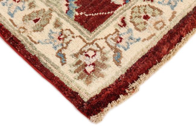 Ziegler Farahan - 5