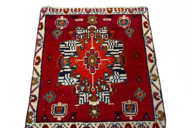 Shiraz - 3