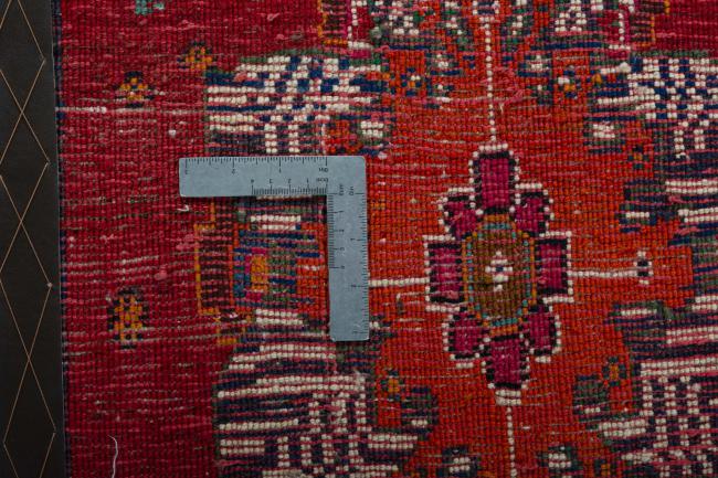 Shiraz - 4