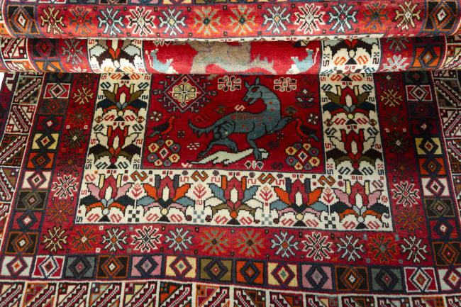 Shiraz - 7