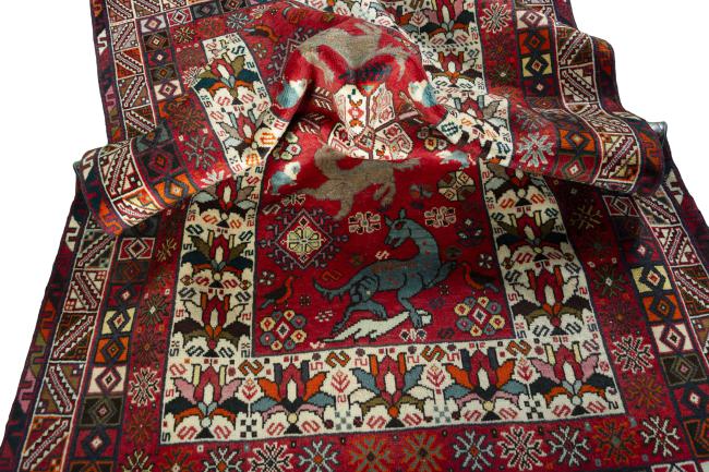 Shiraz - 8