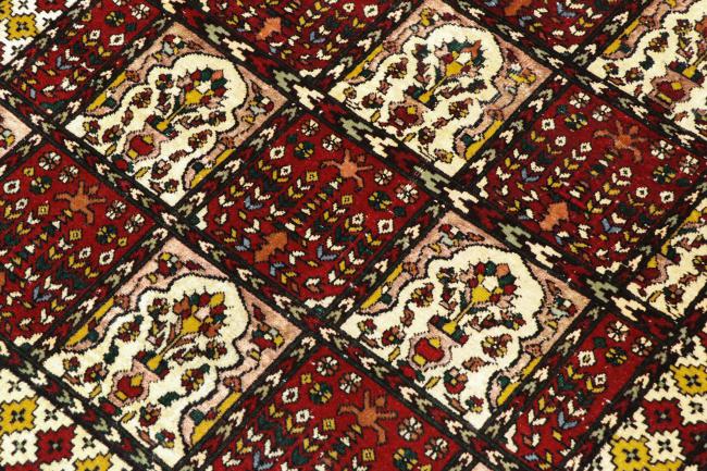 Afghan Mauri Silke - 2