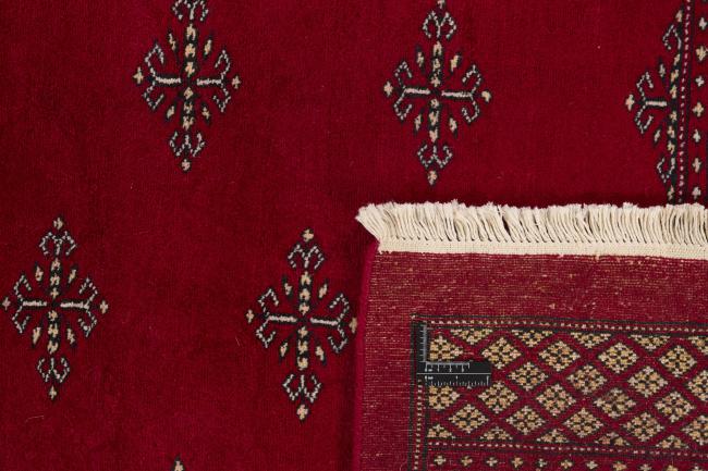 Pakistan Buchara 2ply - 1