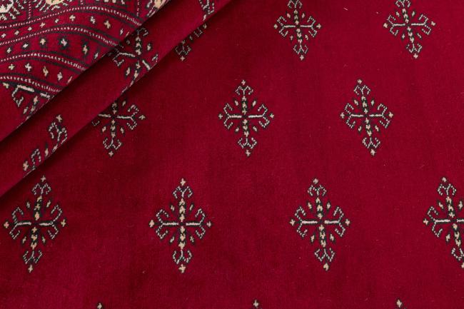 Pakistan Buchara 2ply - 2