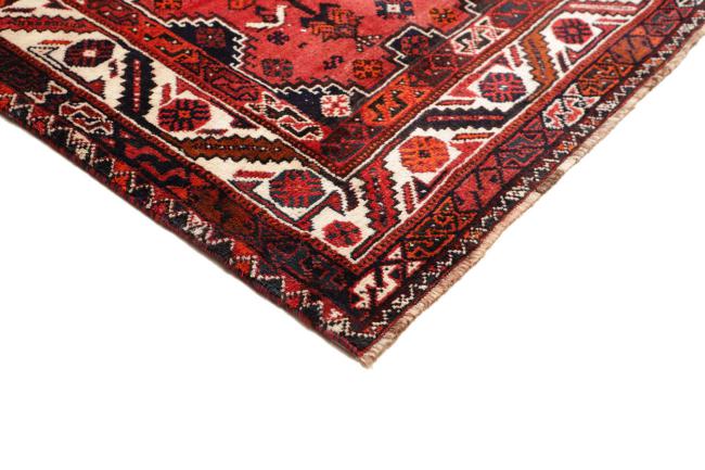 Shiraz - 4