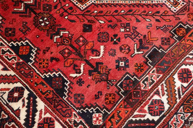 Shiraz - 5