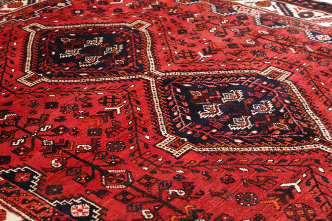 Shiraz - 6